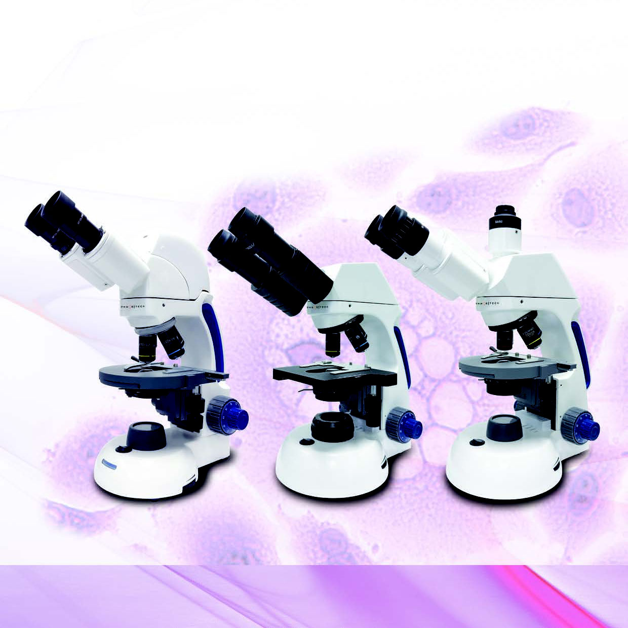PT Nexus Lab Series